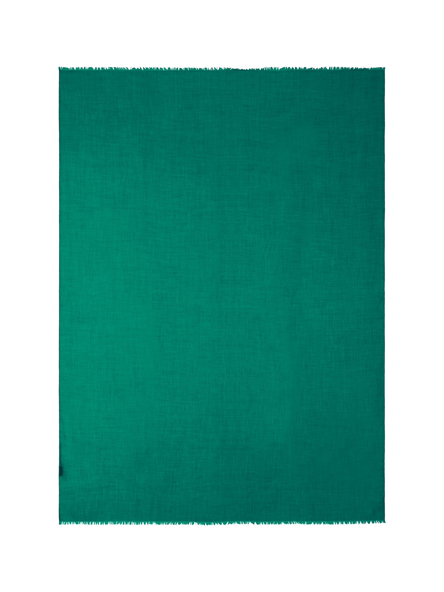 Scarf in Cashmere Silk