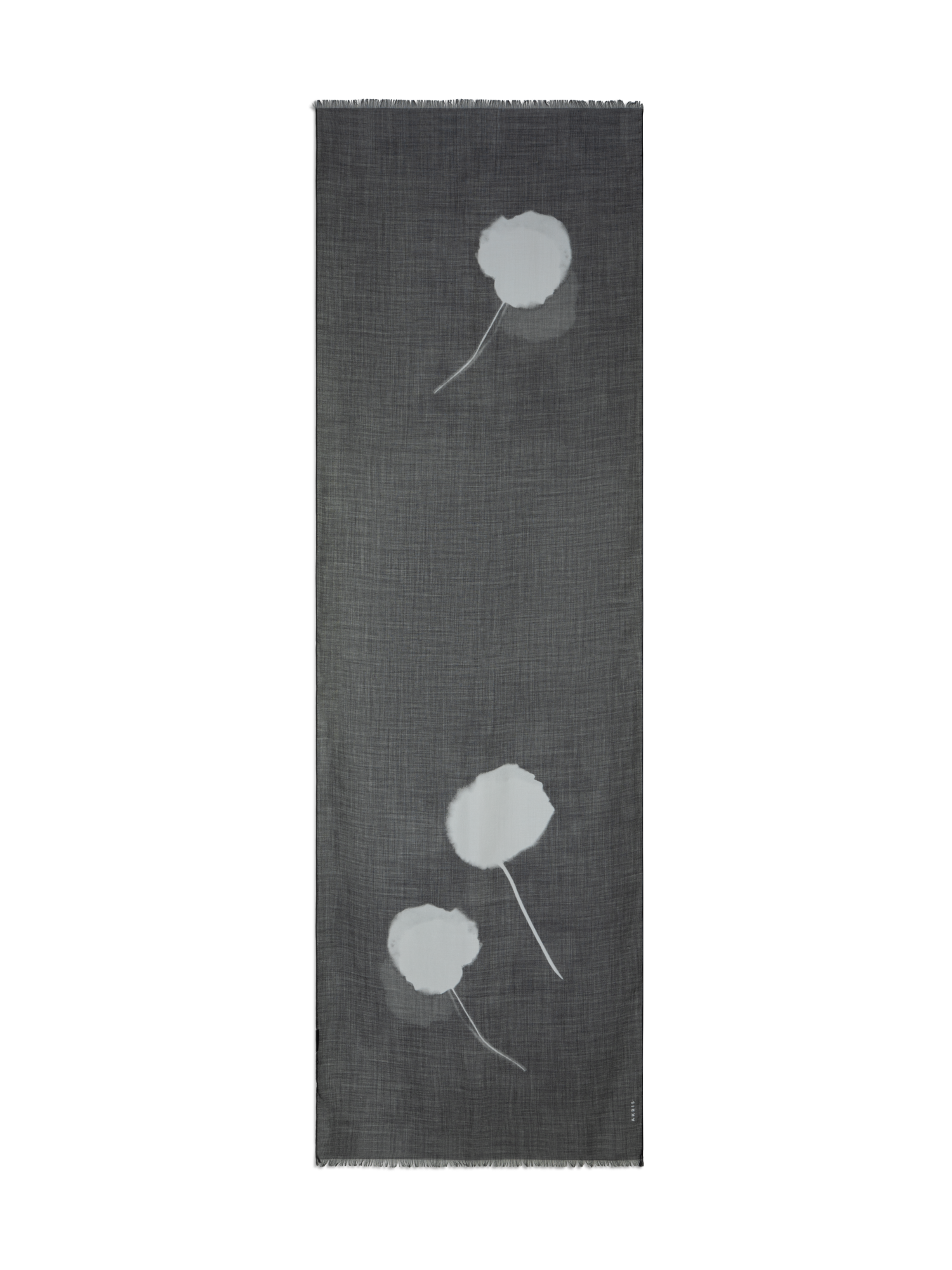 Scarf in Cashmere Silk with Dandelion Print