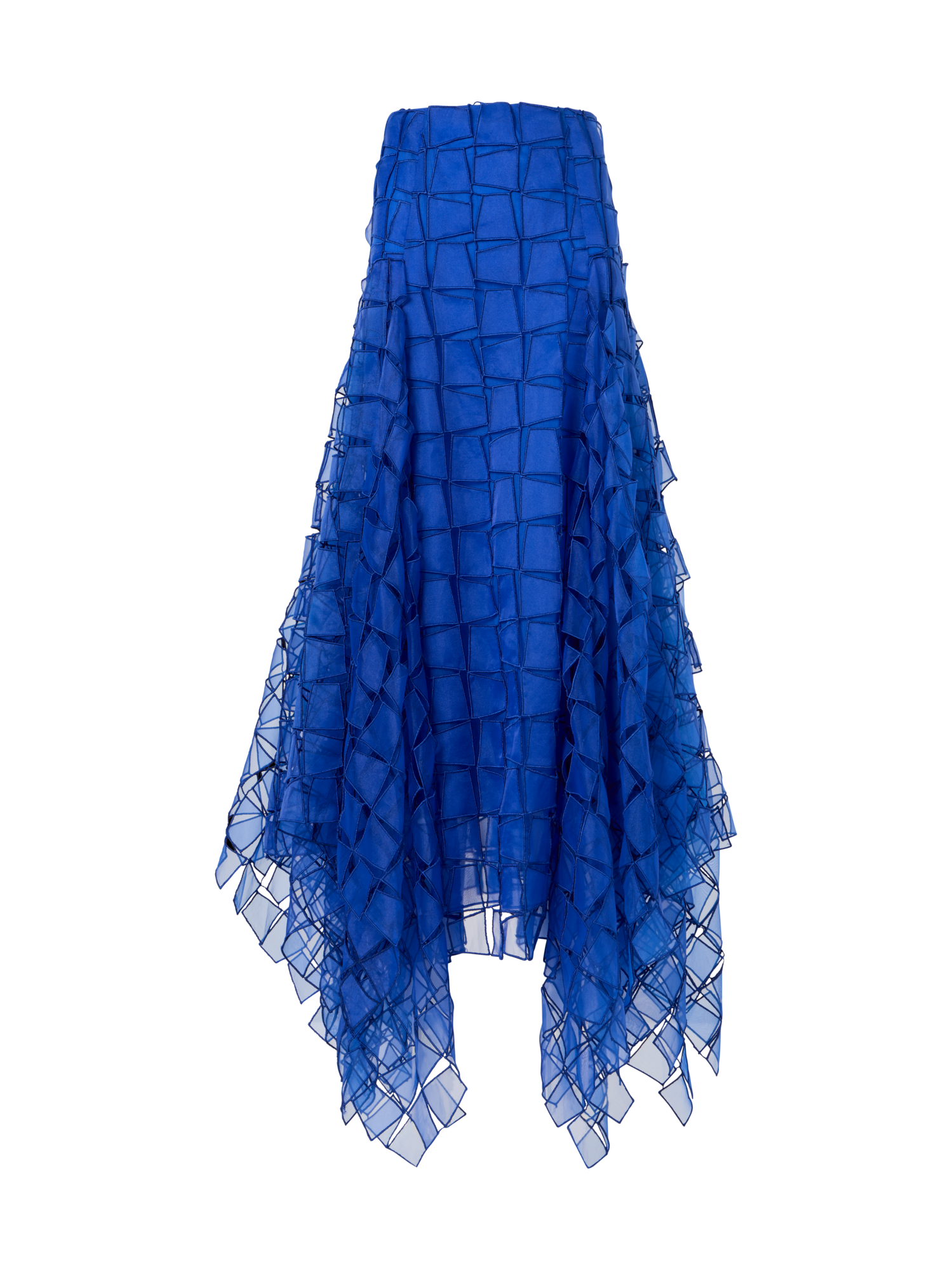 Maxi Skirt with Tapezoid Organza Embroidery
